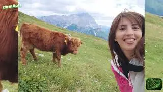 Le Tre Cime di Lavaredo// Тре Чиме Доломити ИТАЛИЯ