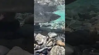 Eat. Sleep. Catch. Release.