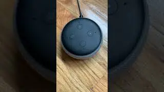 How to Figure out Echo Dot Diagnostics (Red Light)