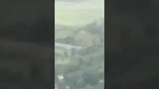 Mayon view