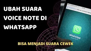 Cuma Pake WA Original I Cara Mengubah Suara Voice Note Cowok Menjadi Cewek