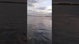 2 января 2021 г.(1)