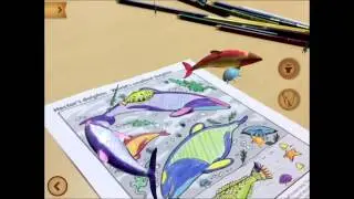 Quiver - Content Preview - Hector's Dolphins page (Amazing Animals of New Zealand Pack)