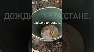 Дожди в Дагестане.
