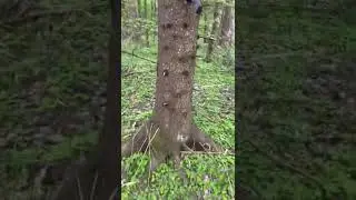 Викинги часть 2😂😂😂
