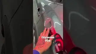 PDR training in St. Petersburg will teach you how to remove dents at a high level.