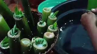 Cara membuat Pulut (Ketan) dengan Wadah Bambu