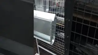 бункерная кормушка для птиц.