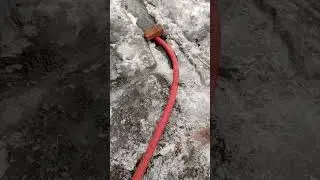 Хочу жить. 