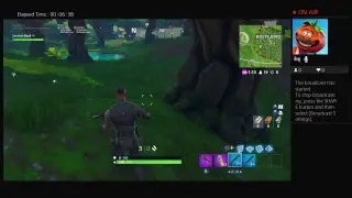 Fortnite playing season 5