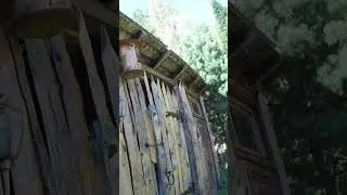 Усадьба Лебедь Турочак Республика Алтай Часть 321 #Shorts