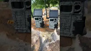 Spypoint cameras are junk!!! 