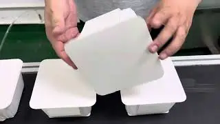 Square tray auto sleeve machine for ready meal pack