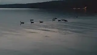 Тихий рассвет в Канаде