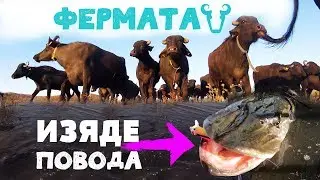 ГЬОЛА НА БИВОЛИТЕ! ОГРОМНА ЩУКА ИЗЯДЕ МЕТАЛНИЯ ПОВОД! Разходка във Фермата!