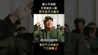文革多少人逝世，那可是天文數字啊   #shorts