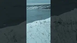 Охота на уток. Кряква.