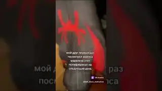 проект х