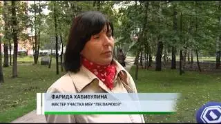 Информационная программа «День» от 19 сентября 2013 года