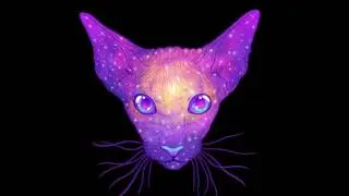 Прикольные аватарки. Космо-кот :З