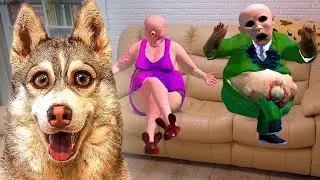 ЭЙ МУЖИК И ЭЙ ТЕТКА ОСТАНОВИСЬ НА МИНУТУ ЖИВУТ С НАМИ!! (Хаски Бублик) Говорящая собака