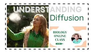 Movement of substances I Diffusion