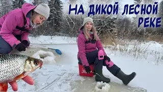 FIRST ICE 2024-2025! Fishing with a jig on a wild river in the forest!