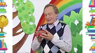 Школа Шишкиного Леса. Первое сентября