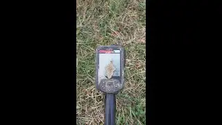 Поиск в овраге