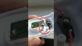 Pest Reject отпугиватель мышей, насекомых.
