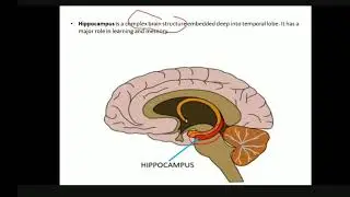 HOPFIELD NETWORKS PART 1