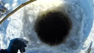 Проверка крючков на налима 02 03 2024
