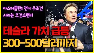 테슬라 갑자기 가치 급등, 왜?..300-500달러까지, 마스터플랜4 전에 무조건 사라는 모건스탠리