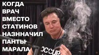 Врач назначил панты марала вместо статинов  Я в ахуе