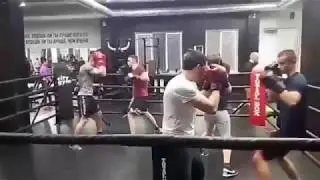 Тренировки в «CITY GYM» с оборудованием TOTALBOX