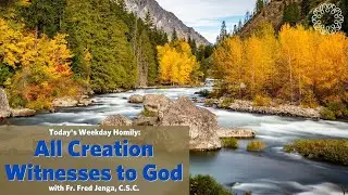 All Creation Witnesses to God | Father Fred Jenga, C.S.C.