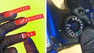 Switch your camera from AUTO to MANUAL. (Photo exposure basics.)
