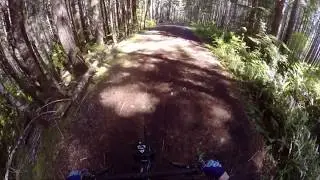 Alsea Falls MTB w/ Secret (unopened) trails