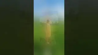 Платное описание.