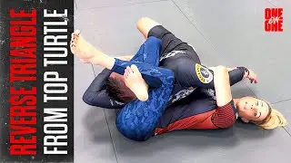 Reverse Triangle | Laura Sanko MMA Demo