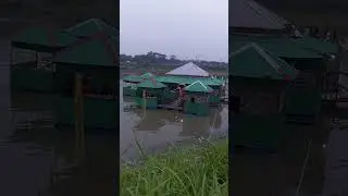village river side restaurant #villagelife #natural #shortvideo #restaurant