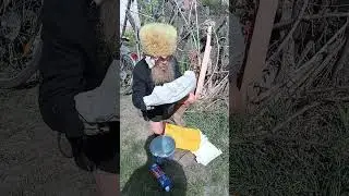 #витямитя