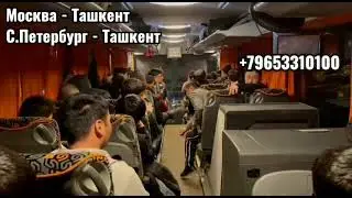 срочно автобус москва-ташкент санкт-петербург-ташкент автобус без посредников