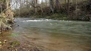 Relaxing ambiance by the stream in my backyard
