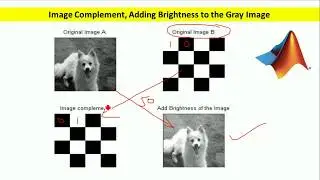 MATLAB CODES - Adding Brightness to the Image and Complement of the image