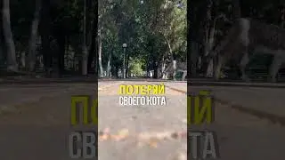 15.08 в 18:00 Я ПРОВЕДУ ВЕБИНАР. Поиск потерянных вещей. Ссылка на него в ТГ канале в профиле.