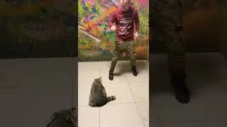 Как ЕНОТЫ снимают штаны с человека!