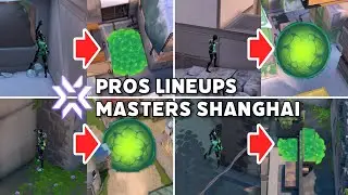 All Viper lineups used by pros in VCT 2024 Masters Shanghai【 VALORANT 】