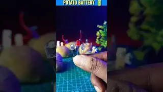 Potato❌ Battery ✅🔋 #shorts