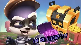 Path of paws rewards!!/zooba